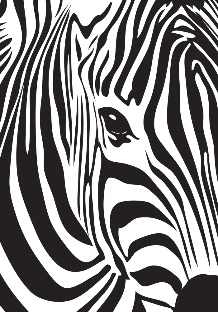 Zebra Постер