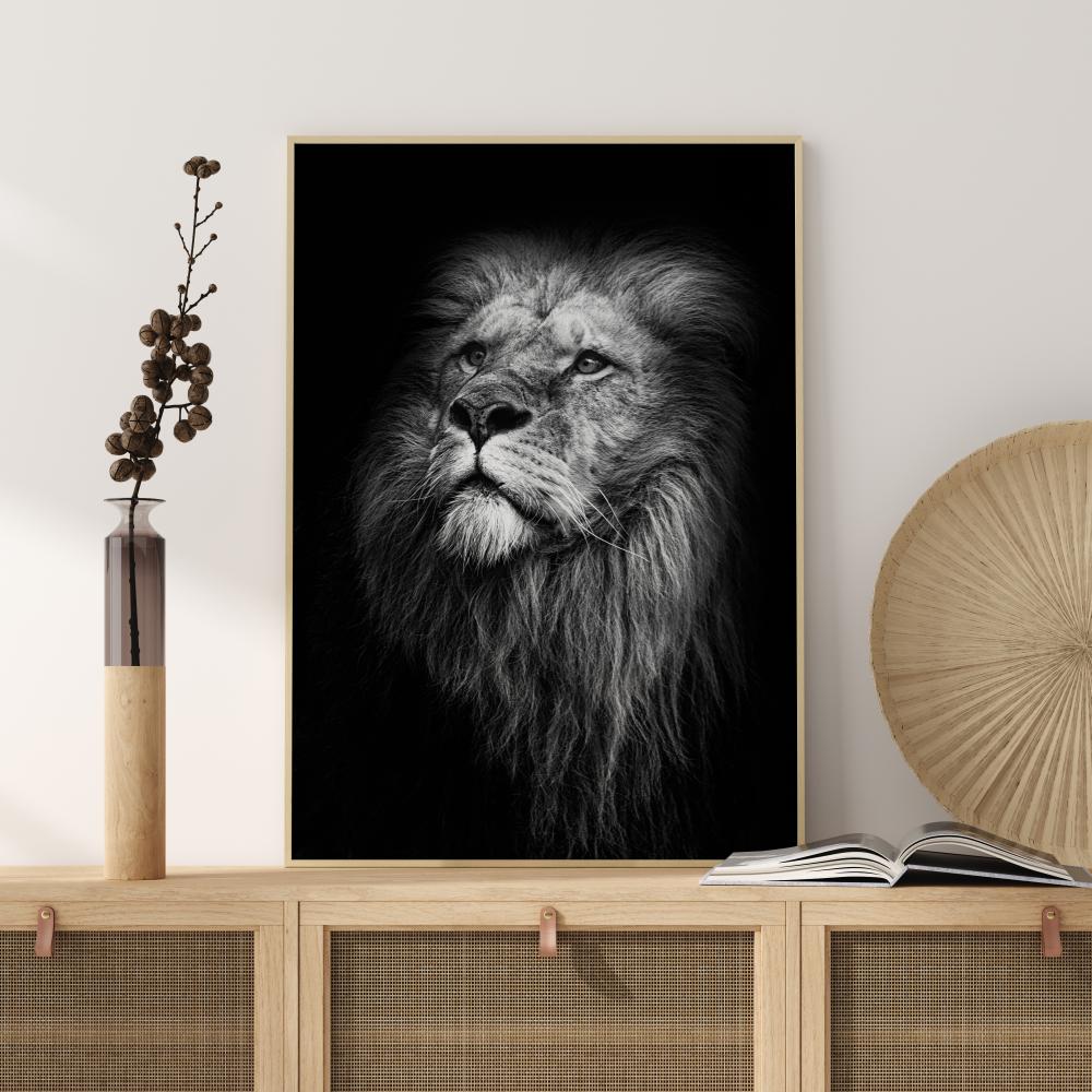 King Of Lions Постер