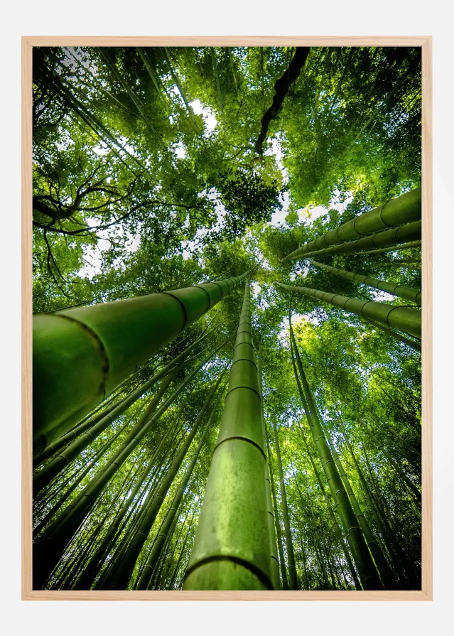 ARASHIYAMA Постер
