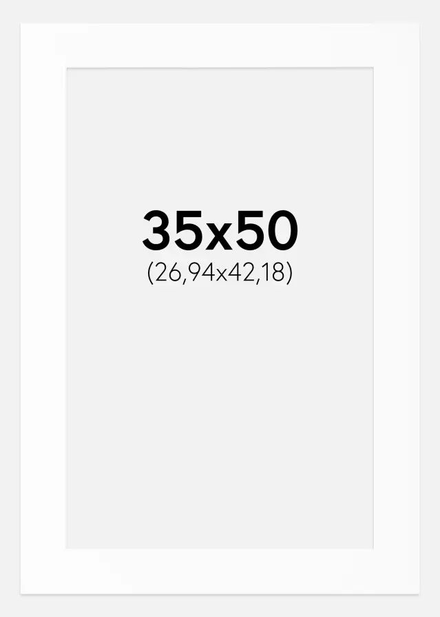 Паспарту Canson бяло Бяло ядро 35x50 cm (26,94x42,18)