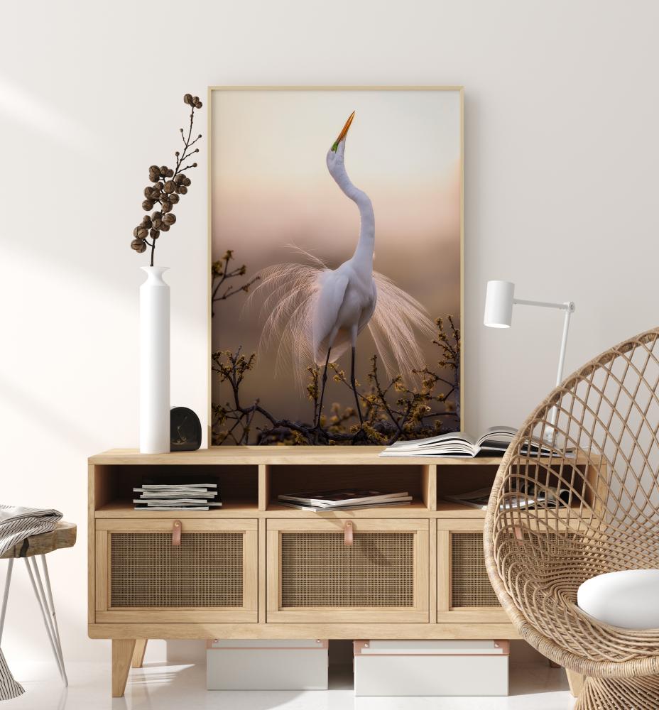 Solo Dance Постер