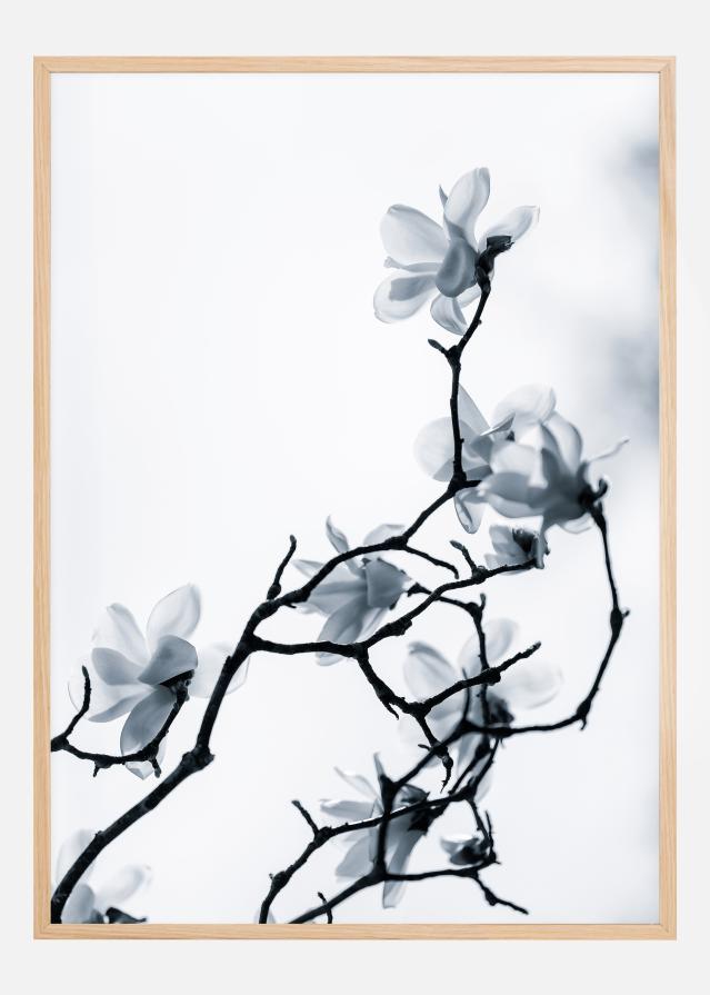 The White Queen Постер