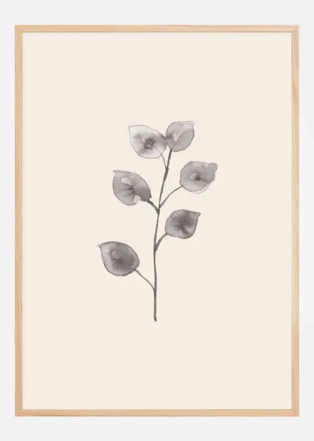 Eucalyptus Twig Постер