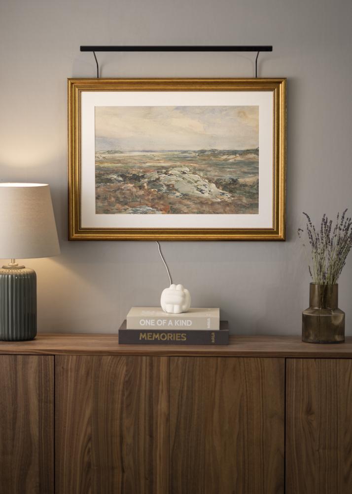 BLP 117 Осветление за картини 65 cm - Черно