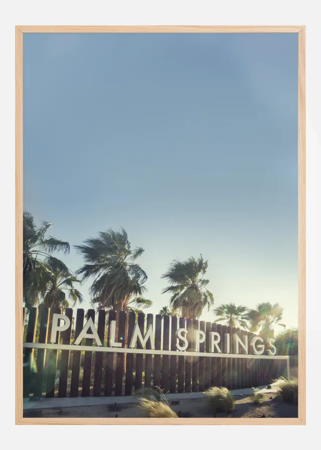 Palm Springs Постер