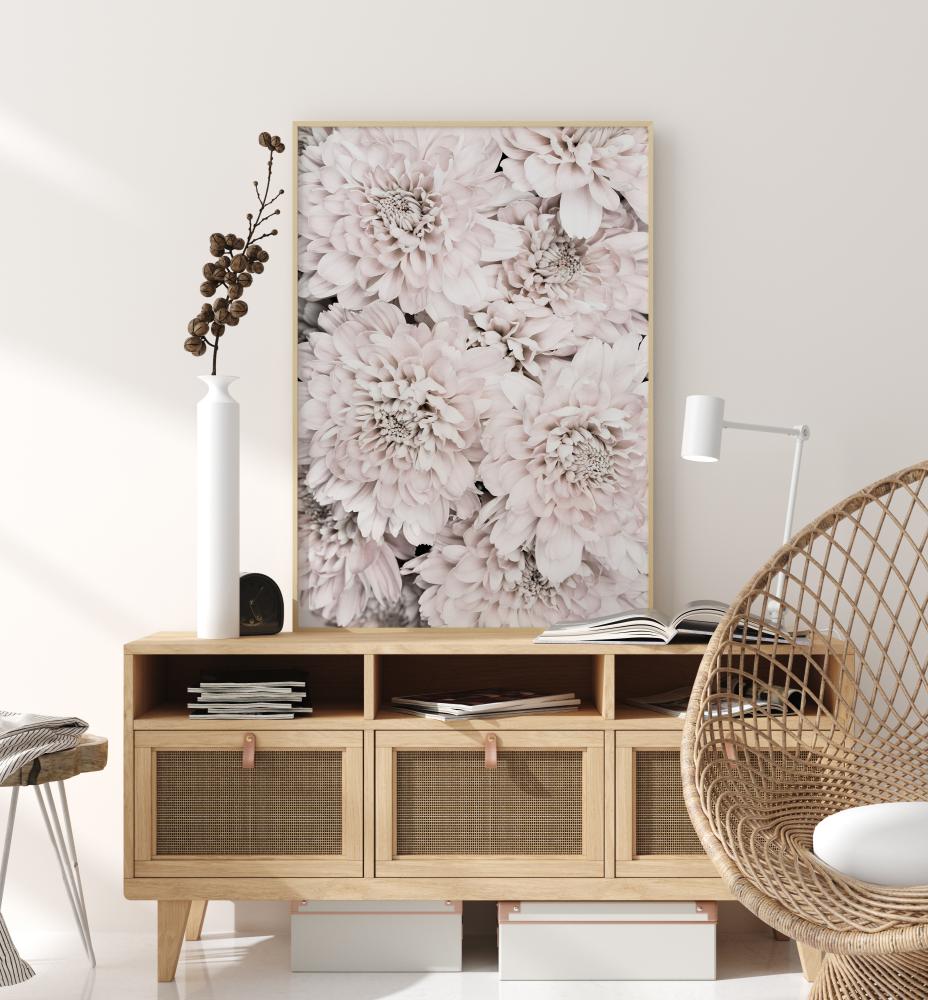 Chrysanthemum II Постер