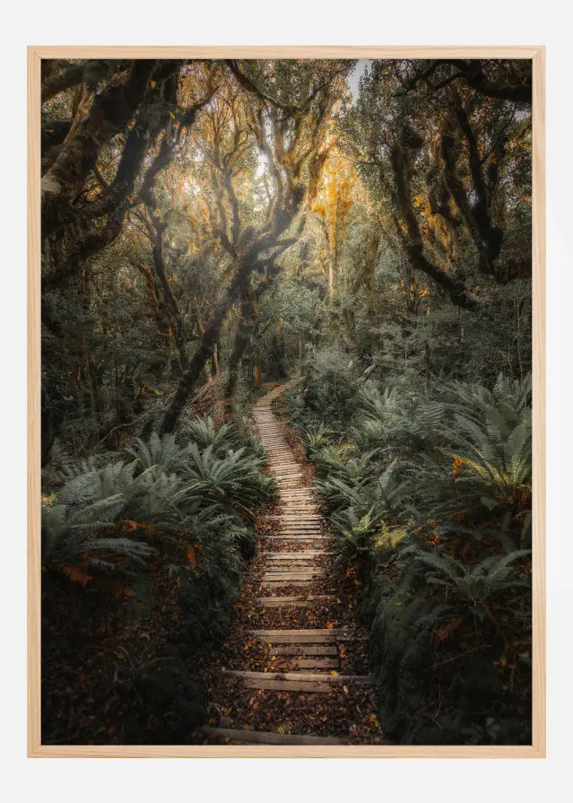 Narrow Path Постер