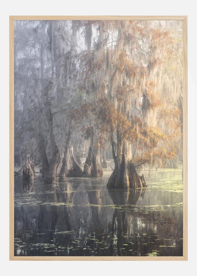 Louisiana Swamp Постер