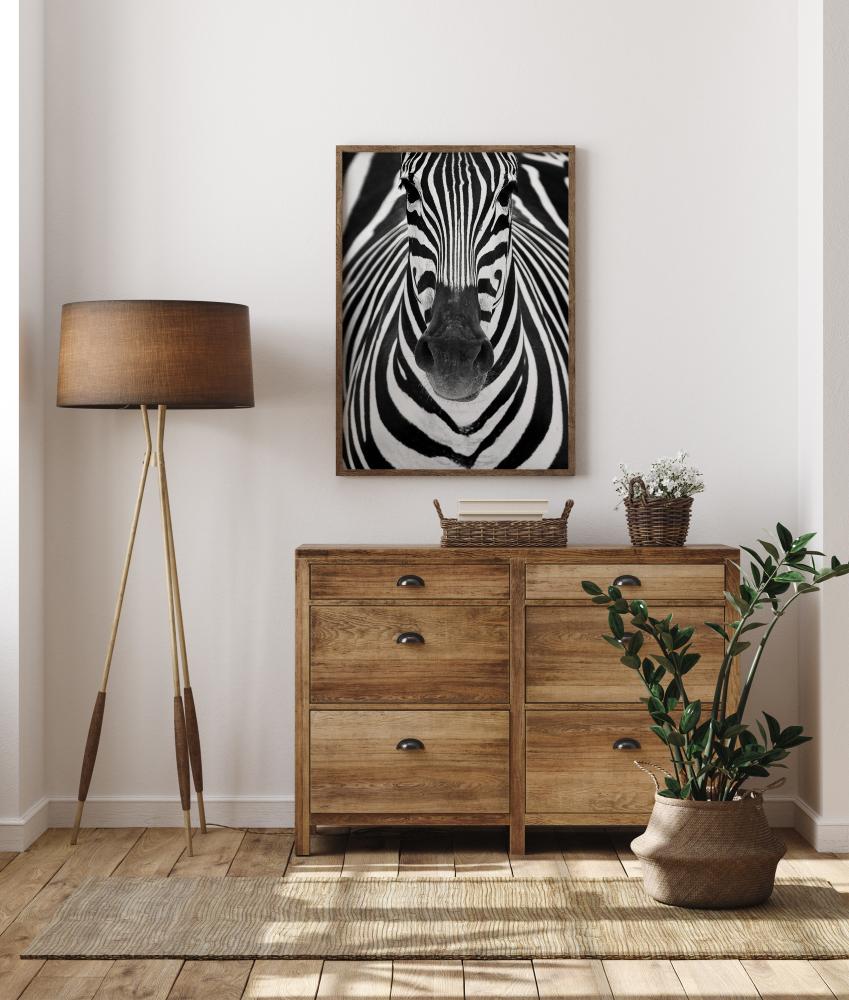 Zebra Постер