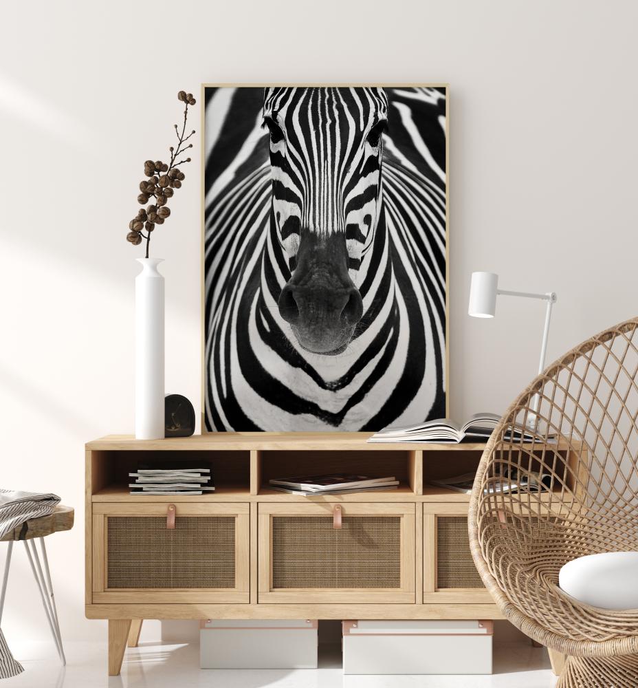 Zebra Постер