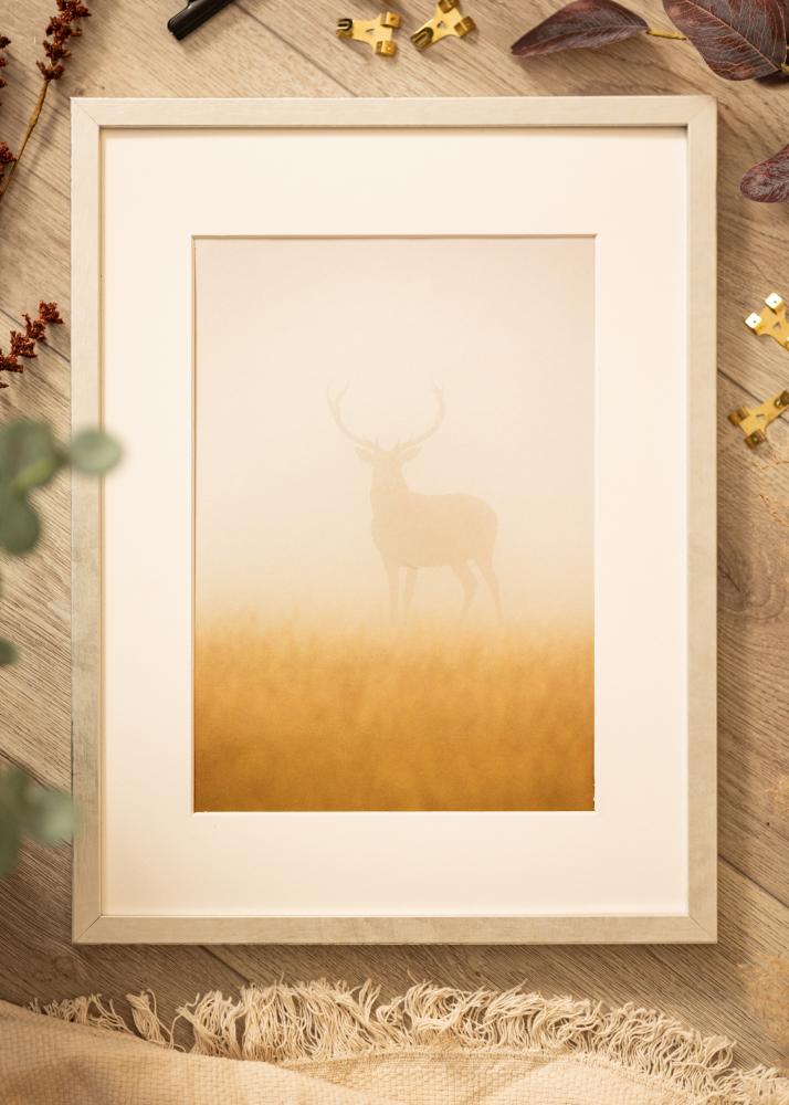 Рамка Ares Акрилно стъкло Сребро 20x30 cm