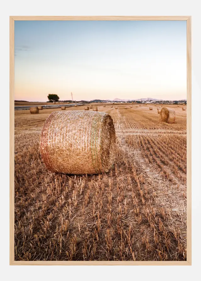 Hay Fields Постер