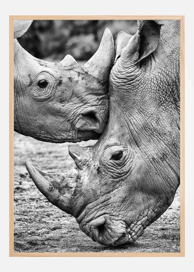 Face To Face Постер