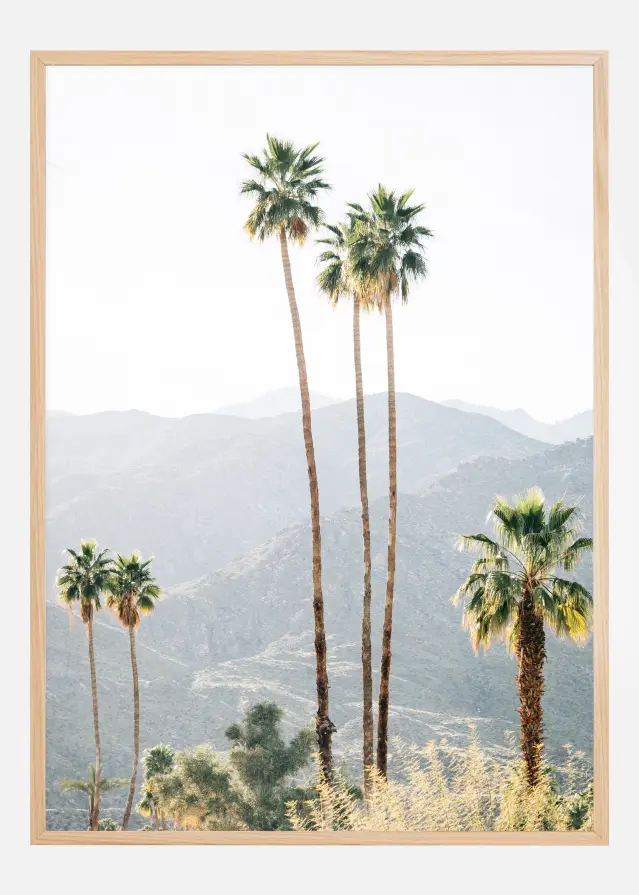 Palm Trees I Постер