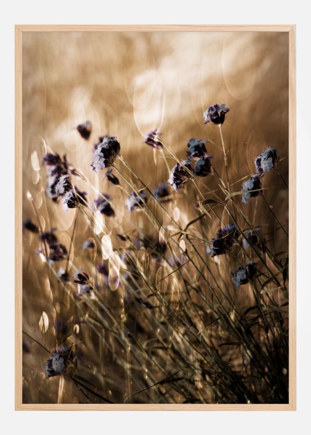 To Be Free In Light Постер