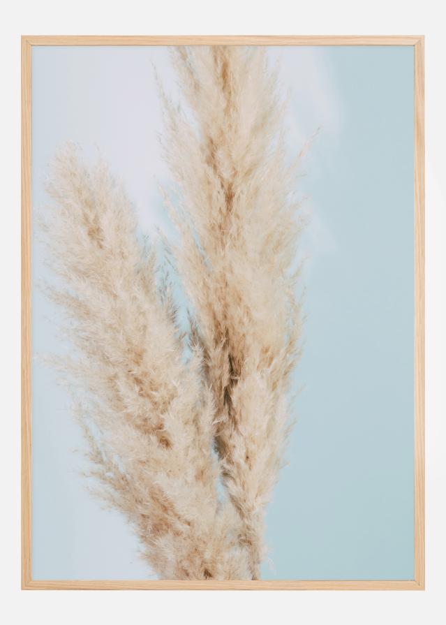 Pampas Grass Blue Постер
