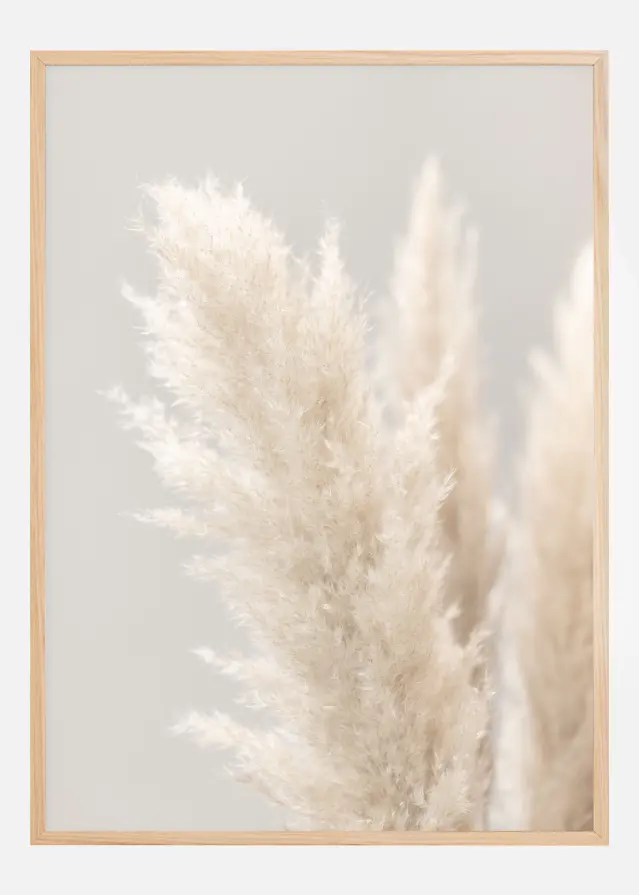 Pampas Grass IIII Постер