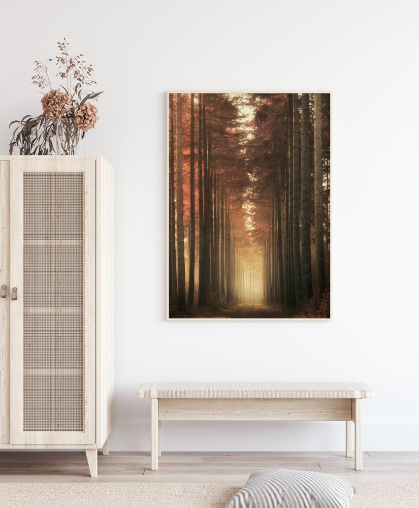 Light Burning Постер