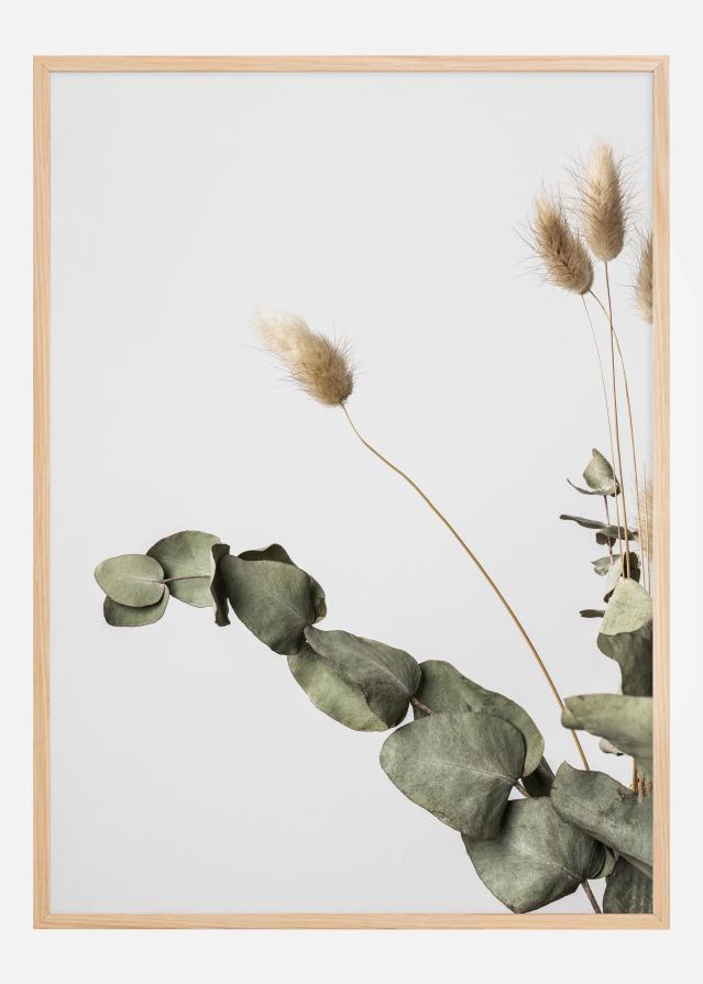 Dried 002 Постер