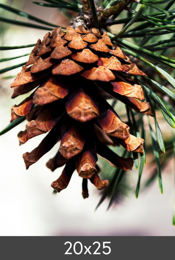 Уголемяване FineArt Bamboo 290 g