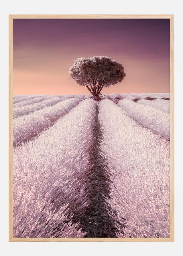 El solitario Постер