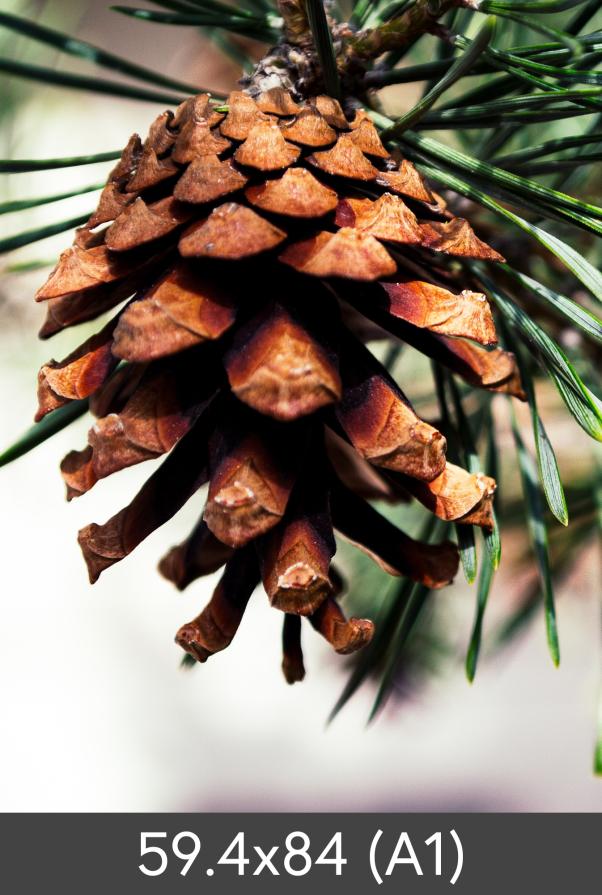 Уголемяване FineArt Bamboo 290 g