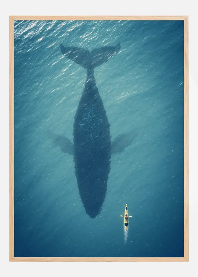 A Big Whale Постер