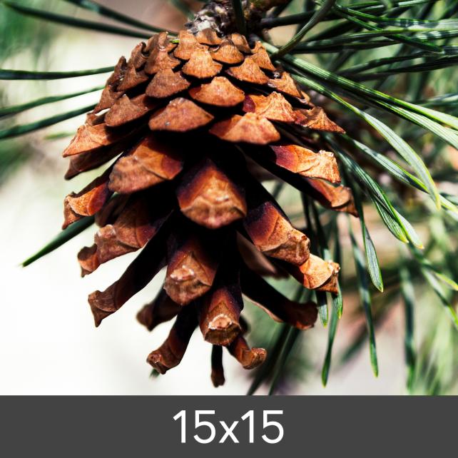 Уголемяване FineArt Bamboo 290 g