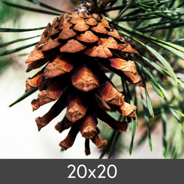 Уголемяване FineArt Bamboo 290 g