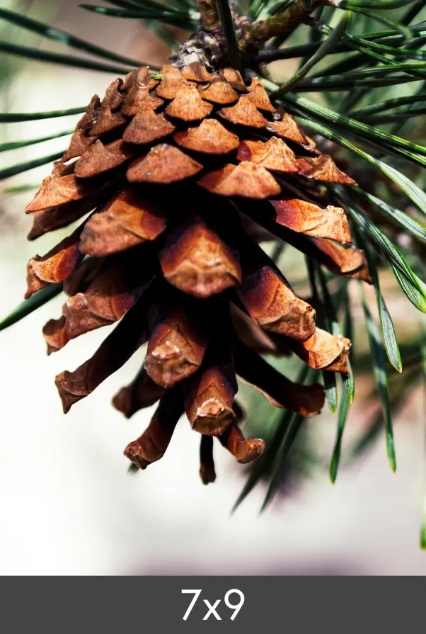 Уголемяване FineArt Bamboo 290 g