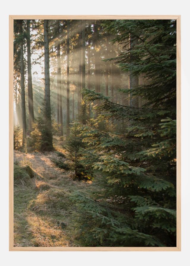 Rays part 2 Постер