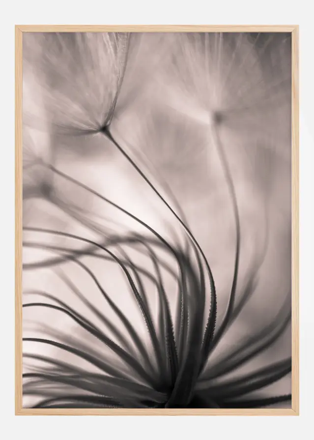 Faded Blurry Flower Постер