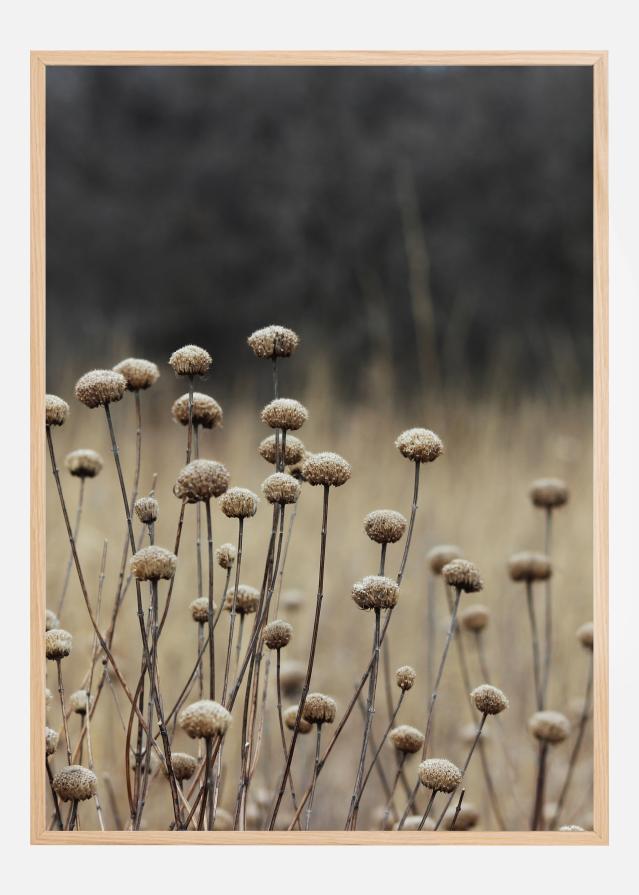 Beige Field Постер