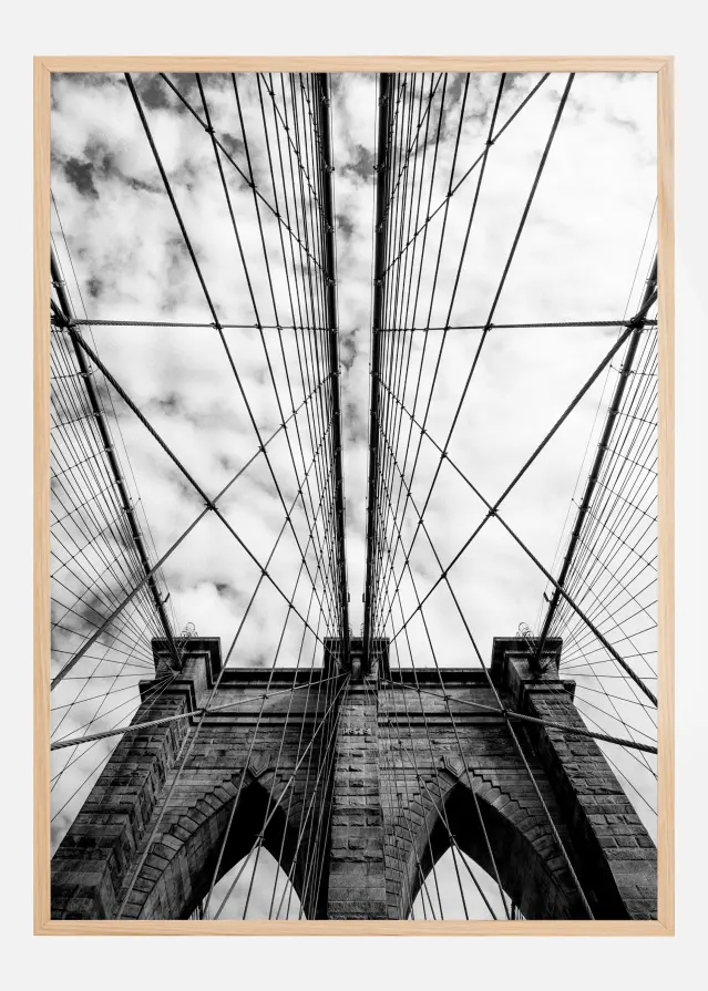The bridge Постер