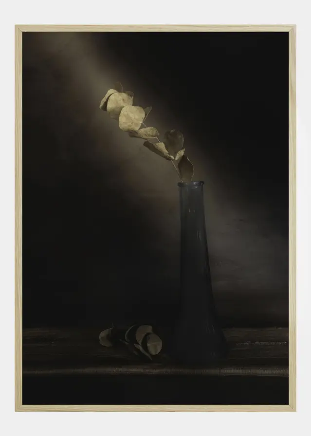 Partially Lighted Постер