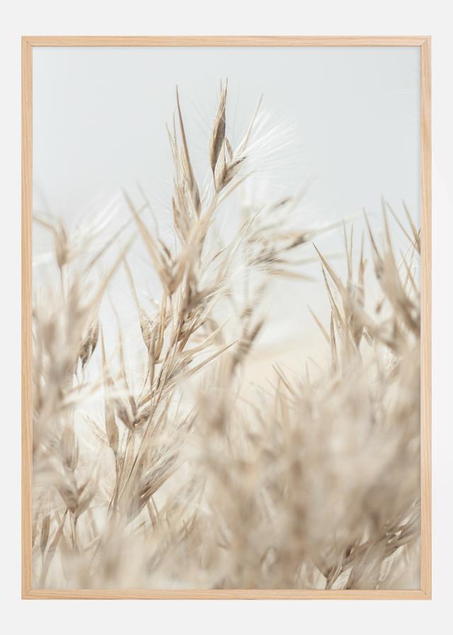 Dried Up l Постер