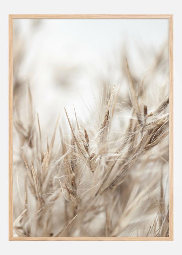 Dried Up ll Постер