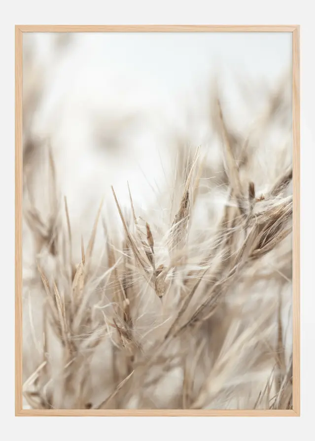 Dried Up ll Постер