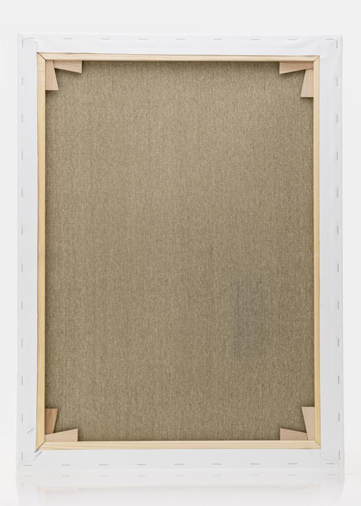 Платно за рисуване Премиум бяло 60x80 cm