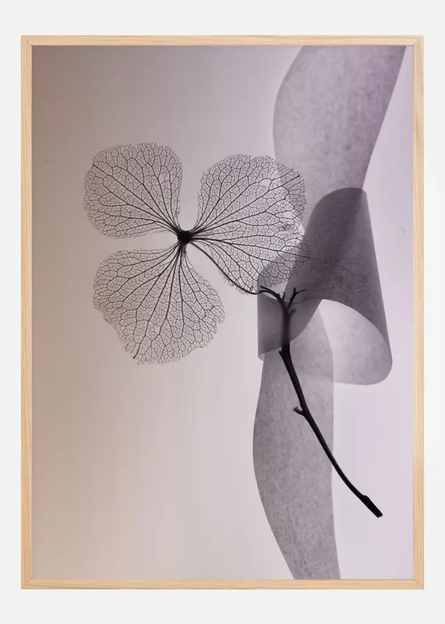 Flower Постер