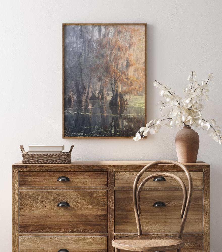 Louisiana Swamp Постер