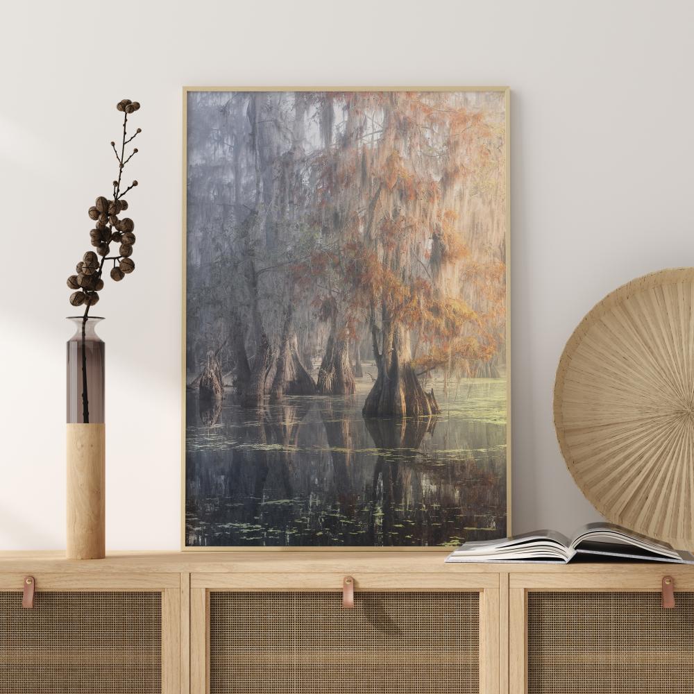 Louisiana Swamp Постер