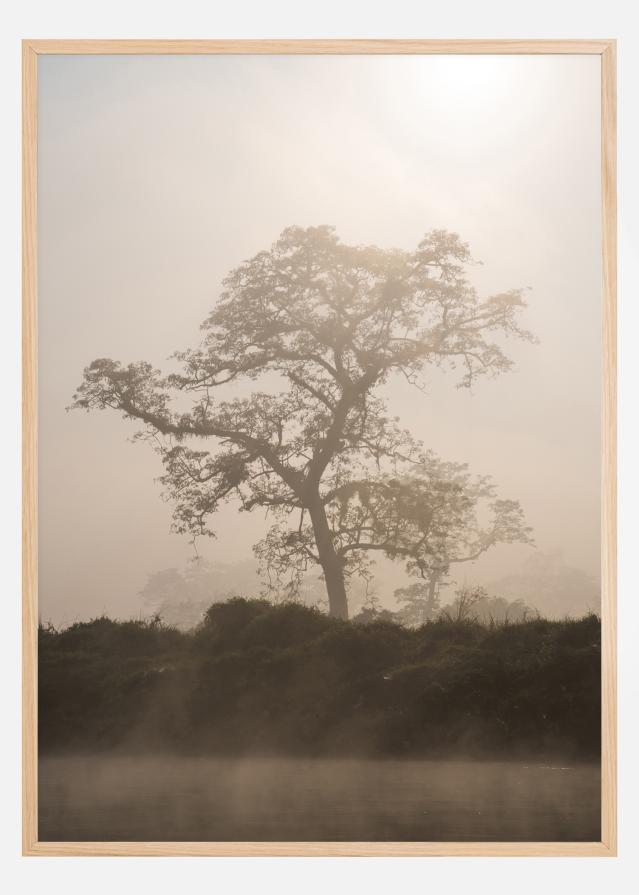 Misty Tree Постер