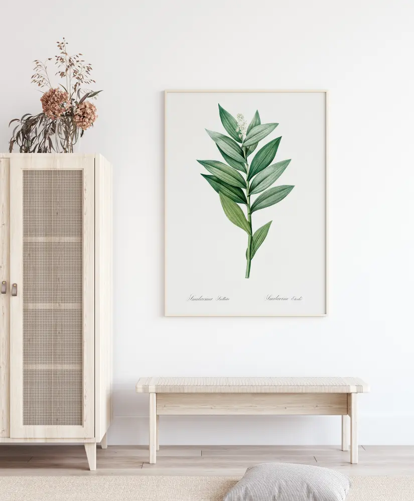 Smilacina Stellata Постер