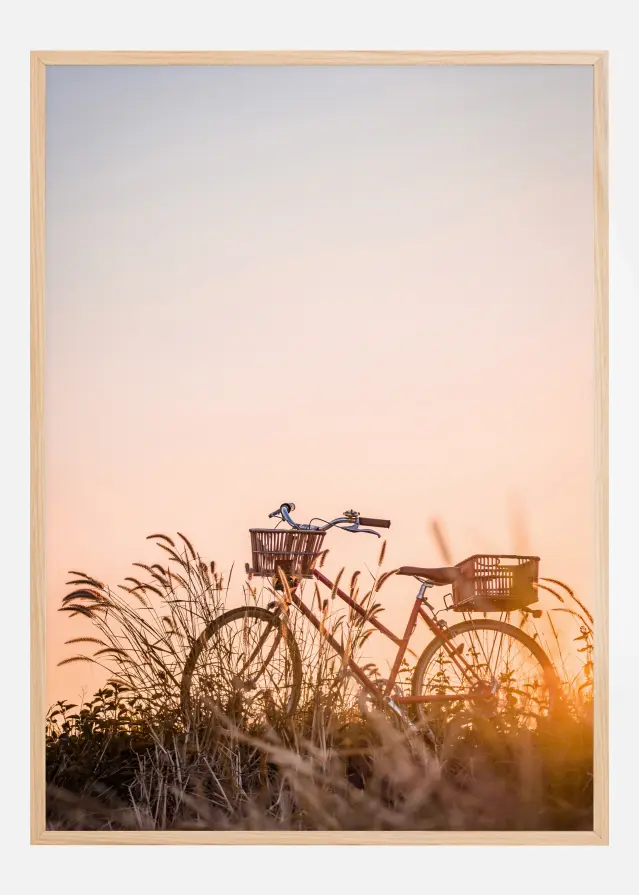 Bike Ride In The Sunset Постер