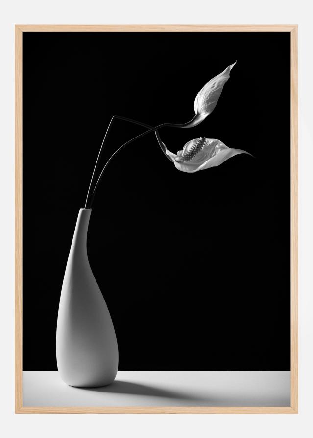 Passionately Постер