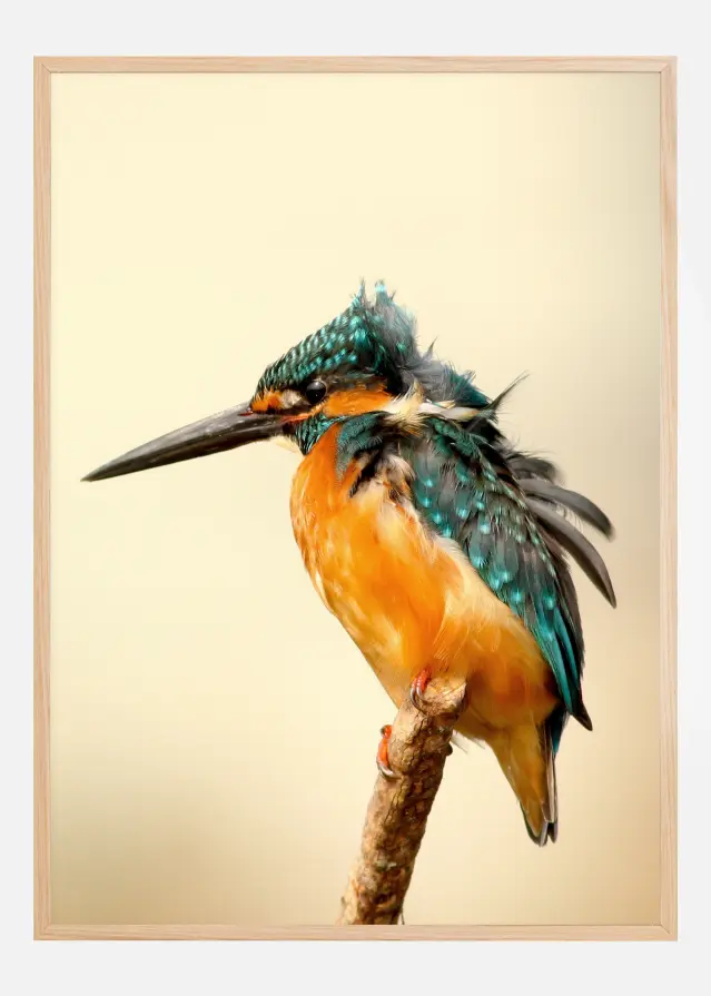 Bird On Tree Постер