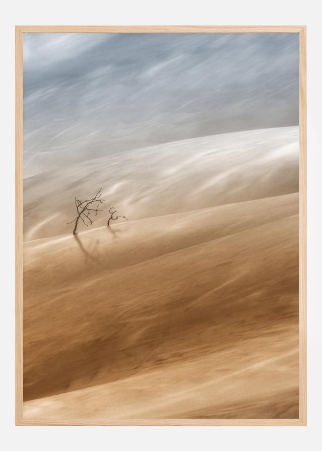 Two Trees Постер