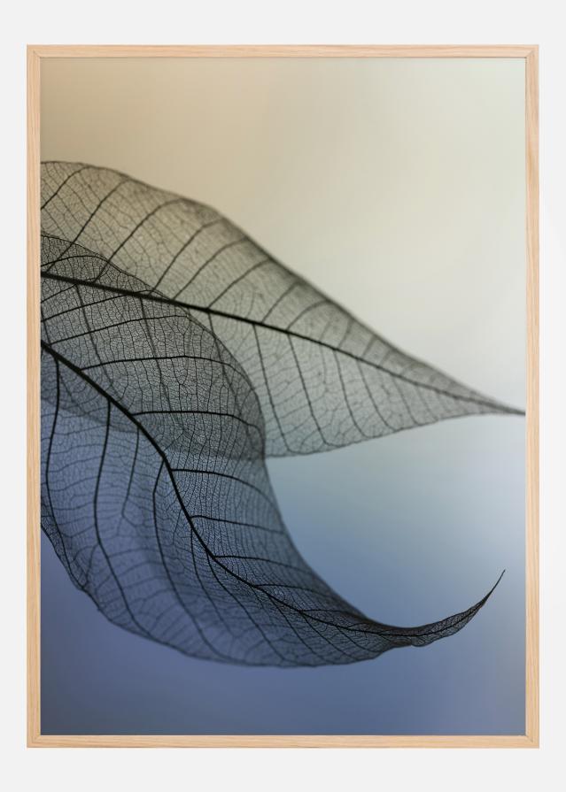 Cavatina Постер