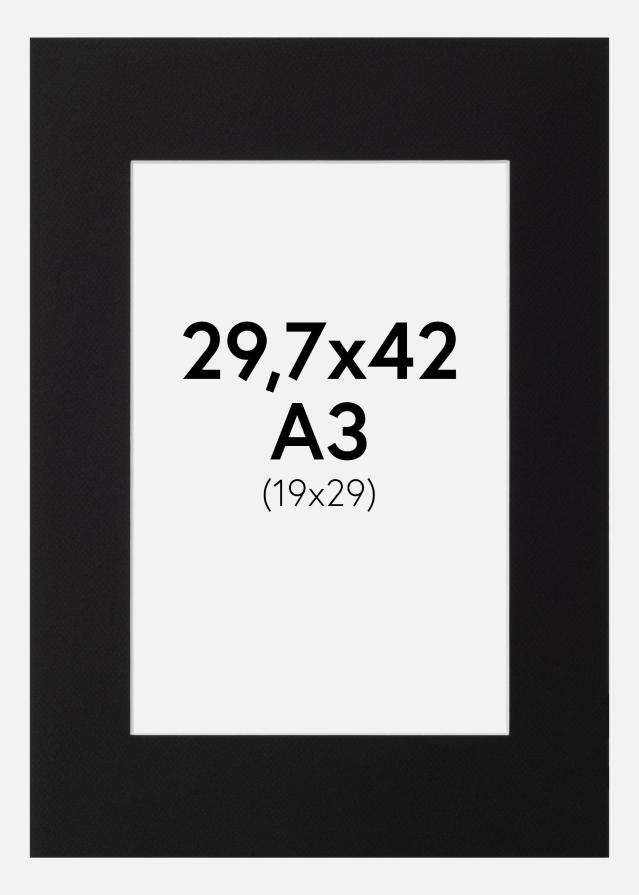 Паспарту Canson Черно Бяло ядро 29,7x42 cm (19x29)